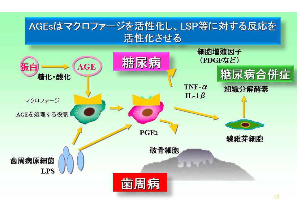 ファイル 3609-1.jpg