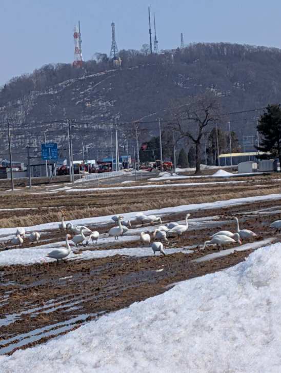 ファイル 797-1.jpg